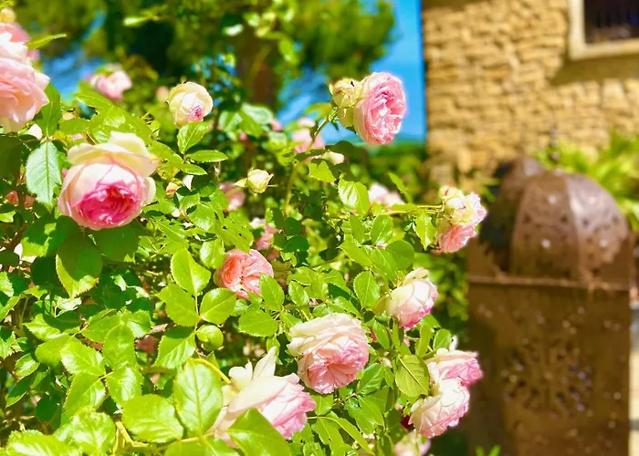 Bed & Breakfast Le Clos Des Anges Bagnols (Rhone)