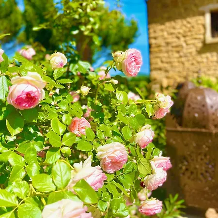 Bed and Breakfast Le Clos Des Anges Bagnols (Rhone)